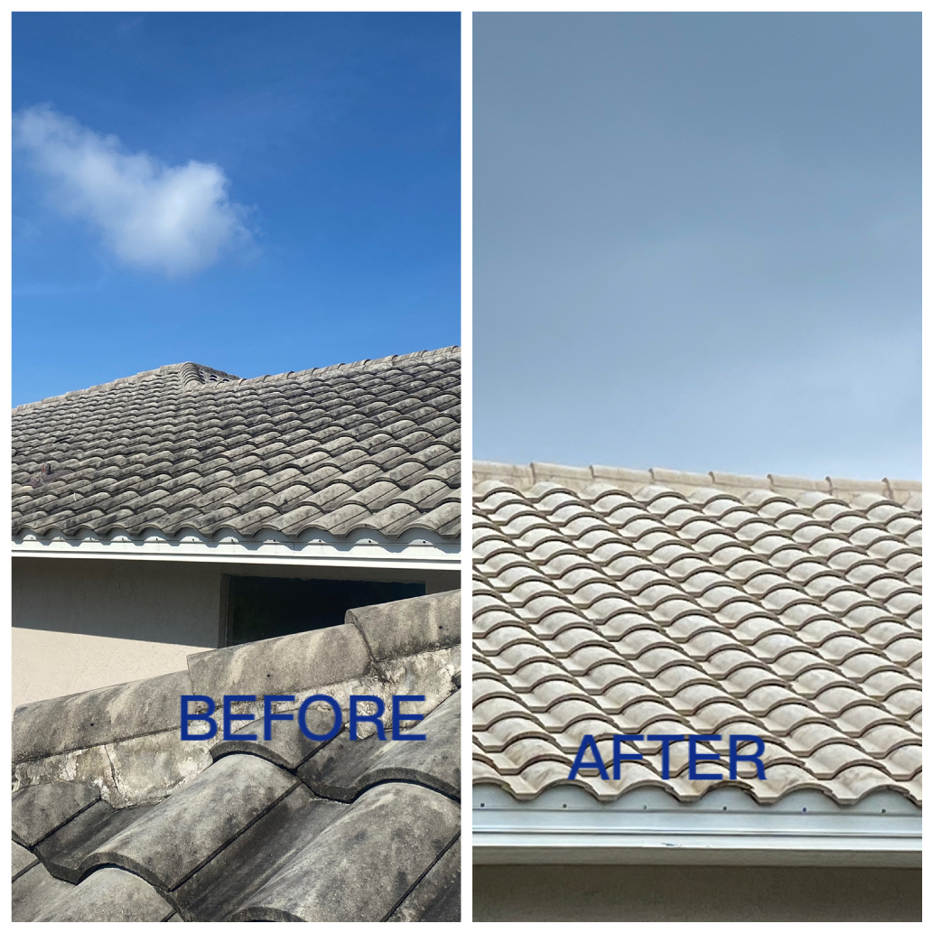 Roof Cleaning in Windermere, FL